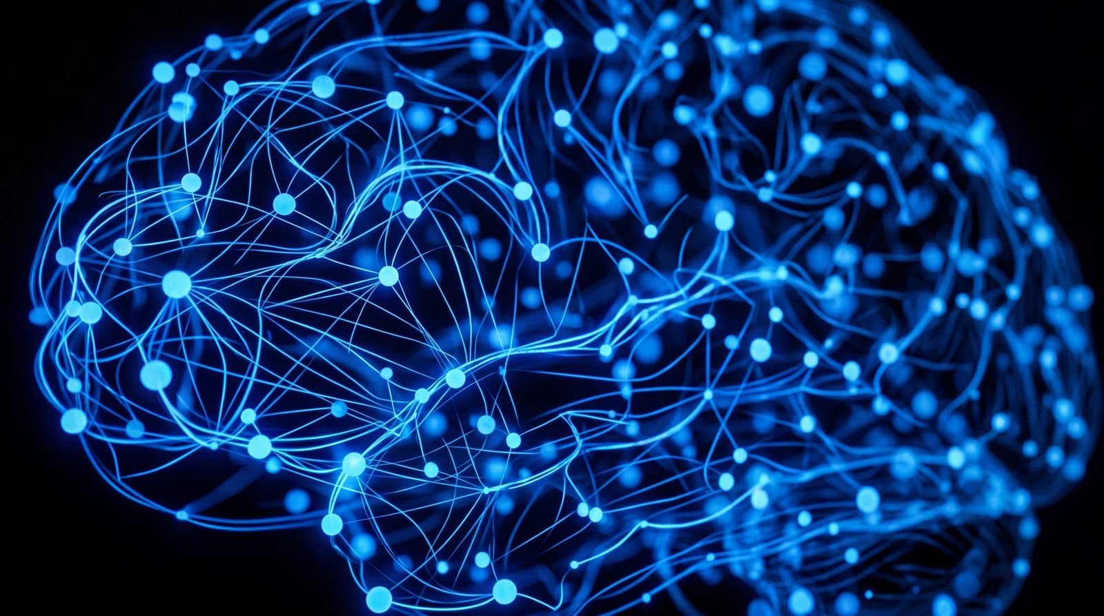 Neural network e training AI